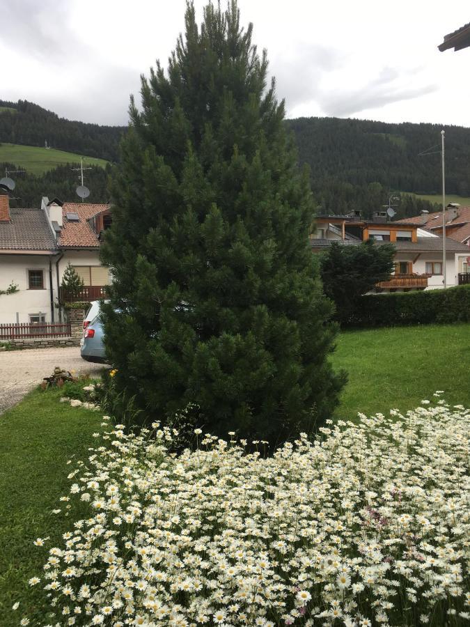 Haus Michael Lejlighed Villabassa Eksteriør billede